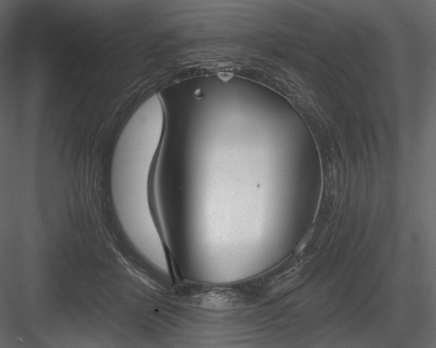 X0000084040412200702232330