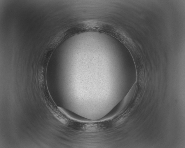 X0000084040413200702232330