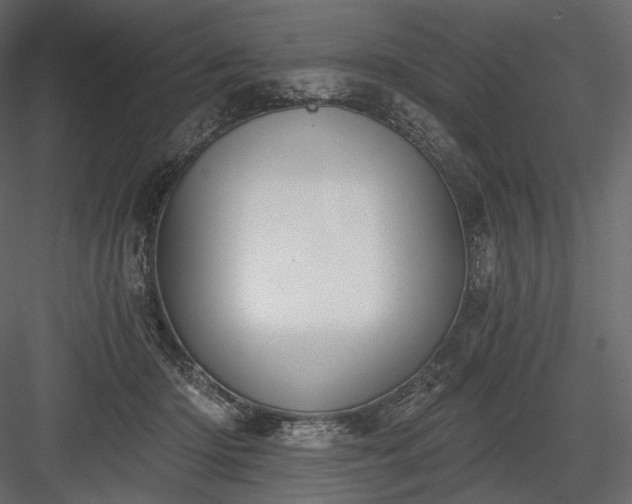 X0000084040414200702232330