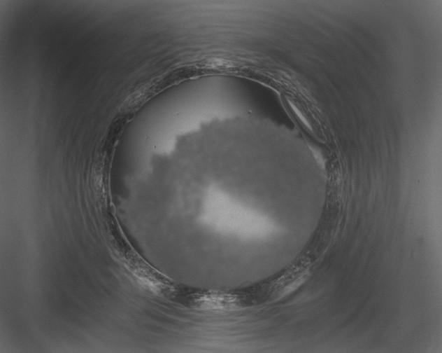 X0000084040415200702232330