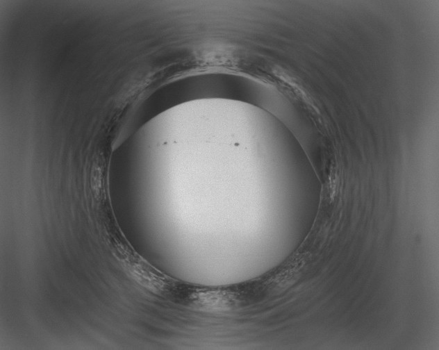 X0000084040417200702232330