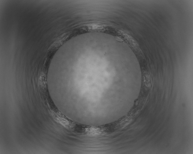 X0000084040419200702232330