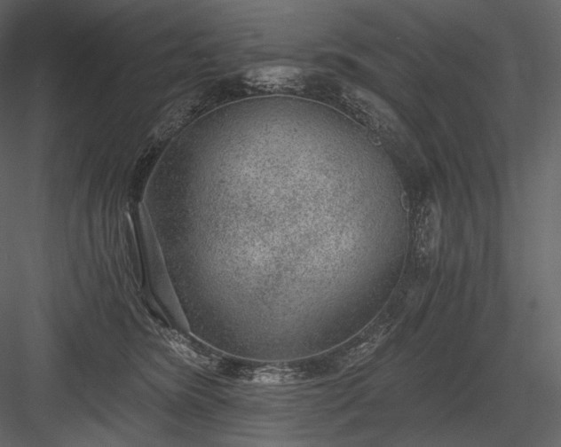 X0000084040420200702232330