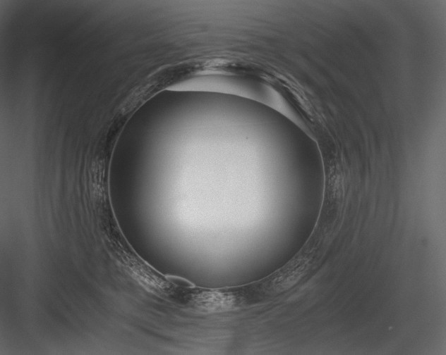 X0000084040421200702232330