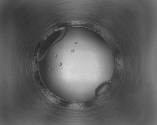 X0000084040422200702232330