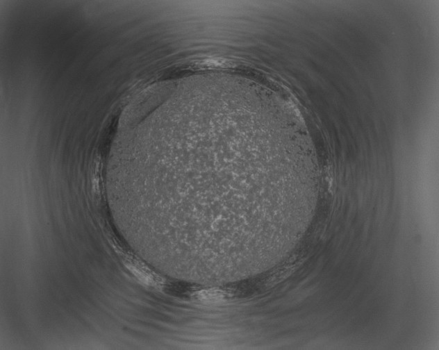 X0000084040423200702232330