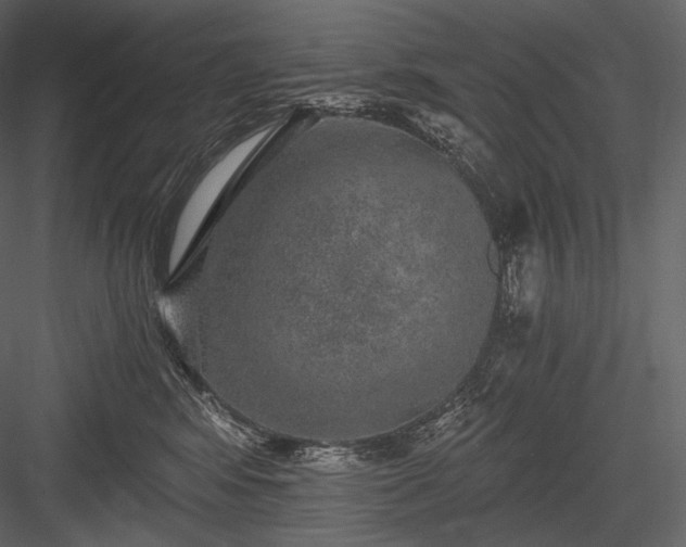 X0000084040424200702232330