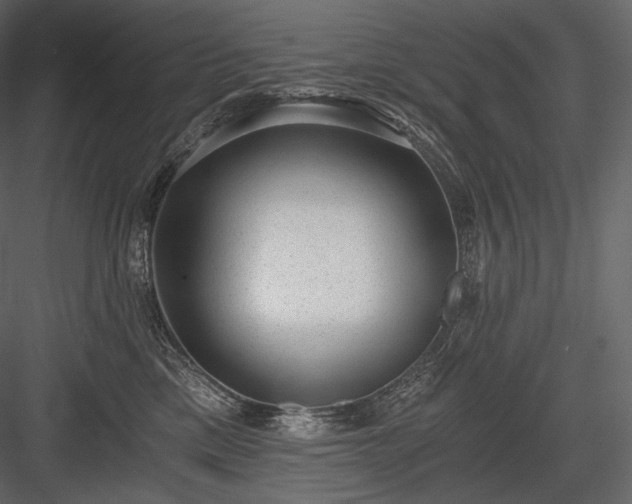 X0000084040425200702232330