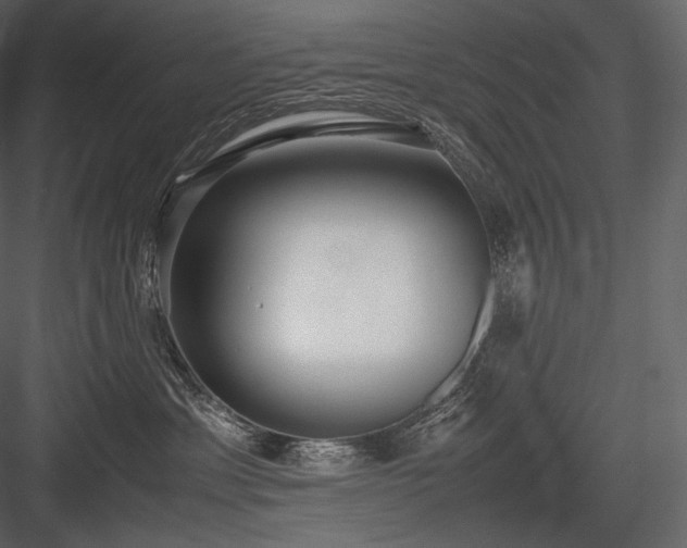 X0000084040429200702232330