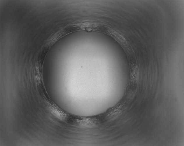 X0000084040430200702232330