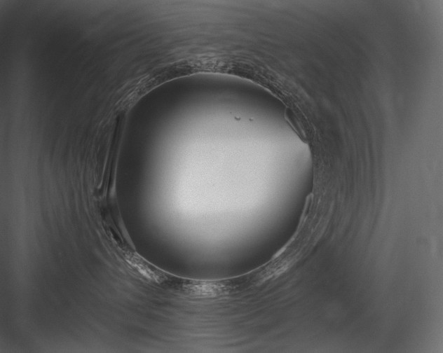 X0000084040432200702232330