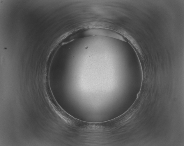X0000084040437200702232329