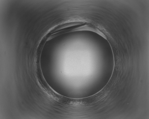 X0000084040440200702232329