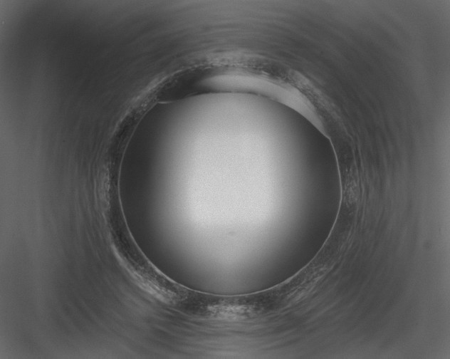 X0000084040448200702232329