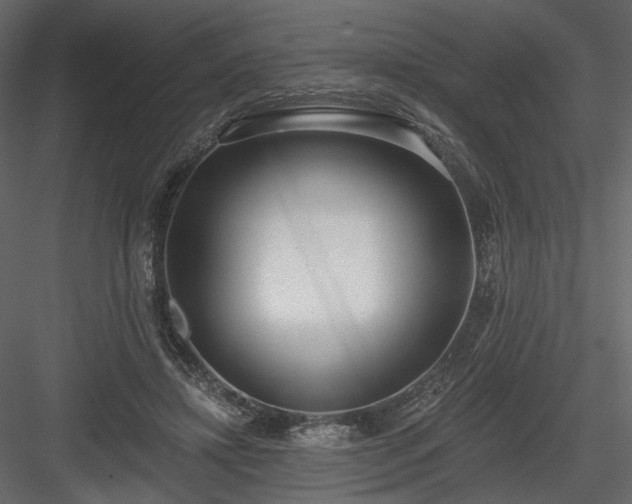X0000084040452200702232329