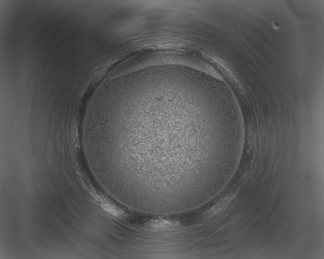 X0000084040453200702232329