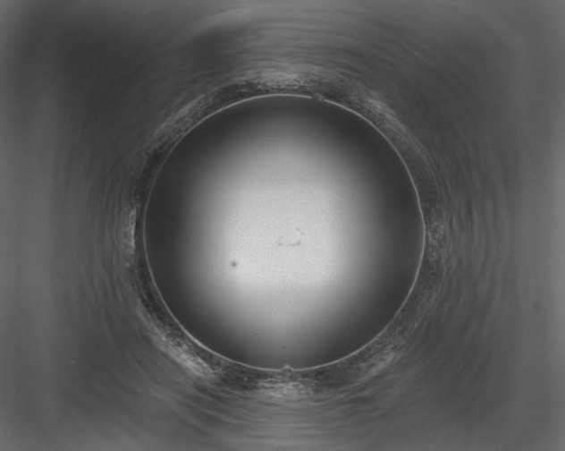 X0000084040454200702232329