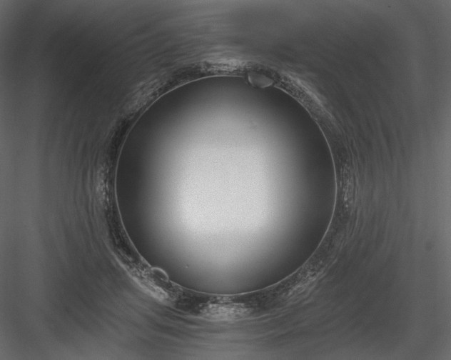 X0000084040455200702232329