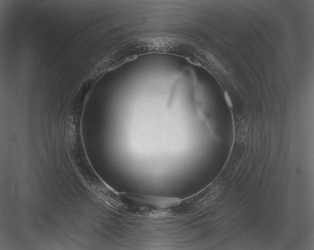 X0000084040456200702232329