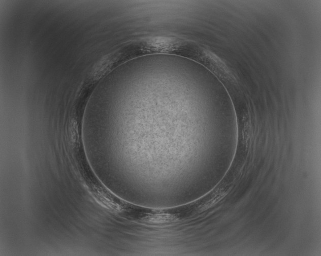 X0000084040459200702232329