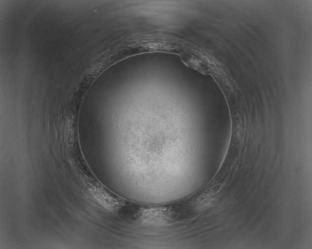 X0000084040461200702232329