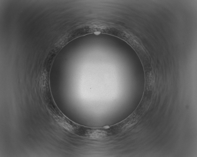 X0000084040463200702232329