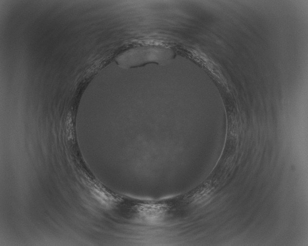 X0000084040465200702232329