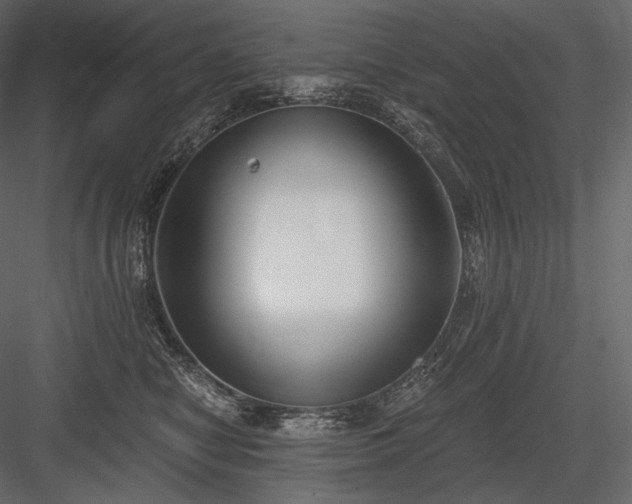 X0000084040470200702232329