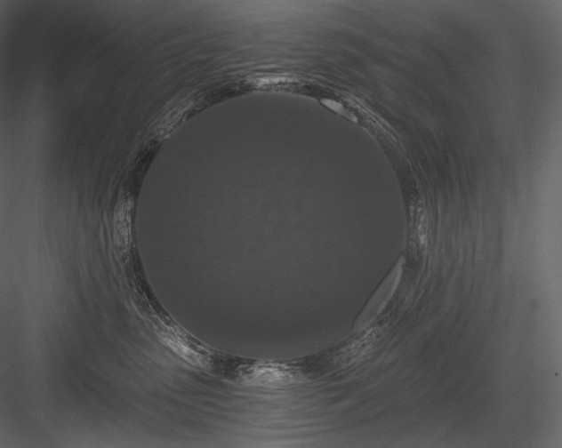 X0000084040475200702232330