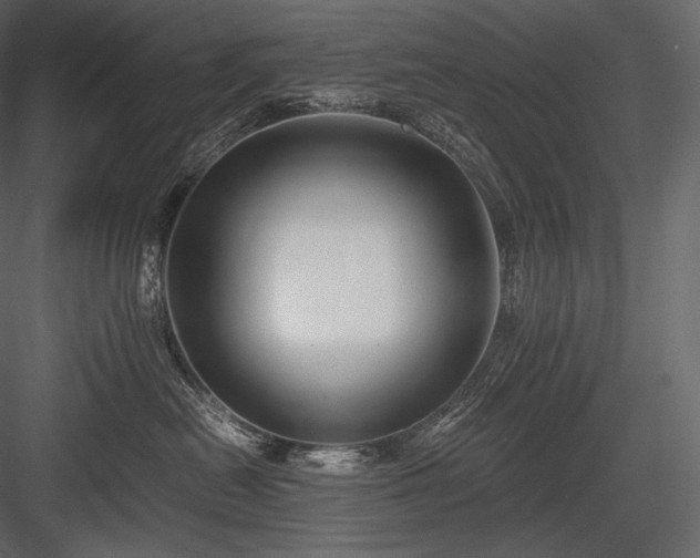 X0000084040478200702232330