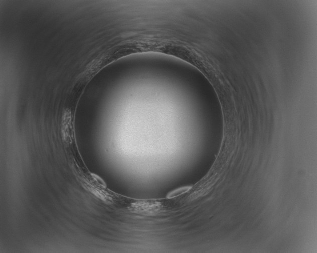 X0000084040480200702232330