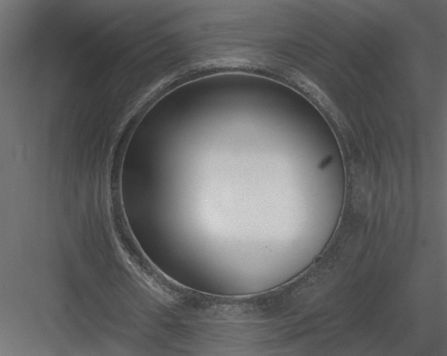 X0000084040482200702232329