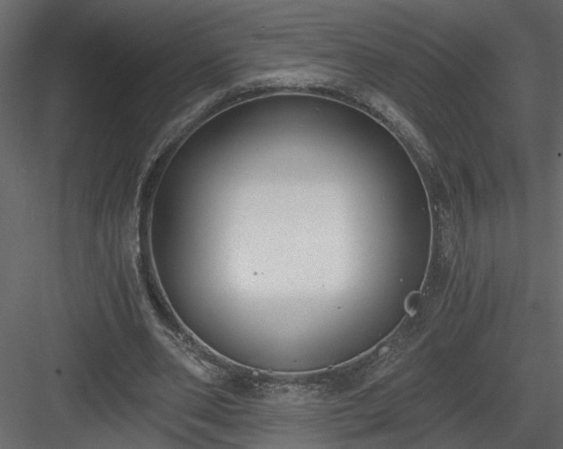 X0000084040486200702232329