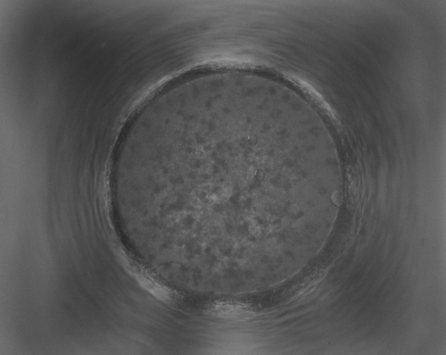 X0000084040487200702232329