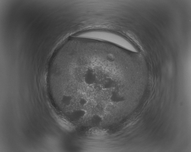 X0000084040491200702232329