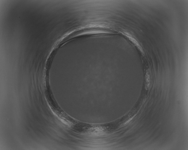 X0000084040492200702232329