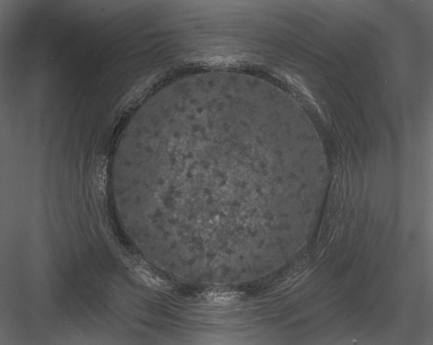 X0000084040495200702232329