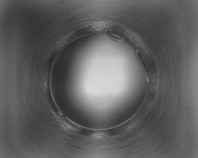 X0000084040505200702232328