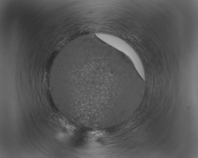 X0000084040511200702232328