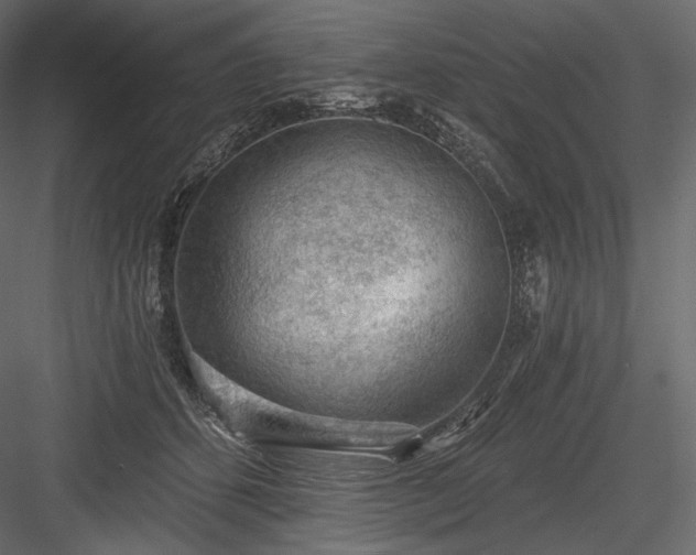 X0000084040512200702232328