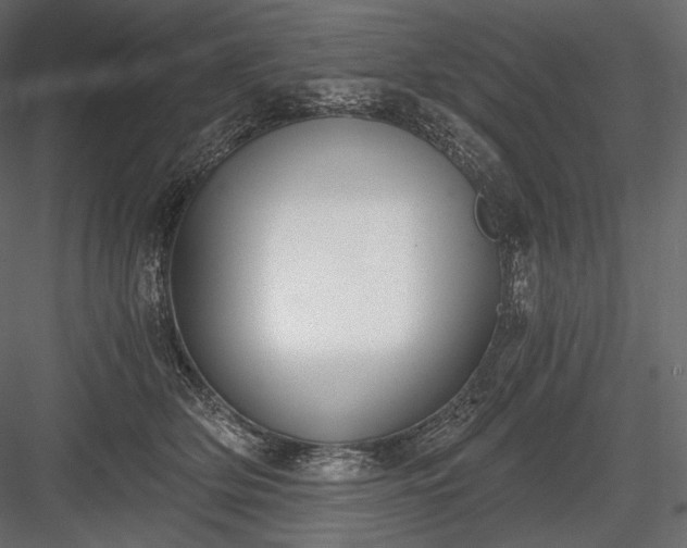 X0000084040514200702232328