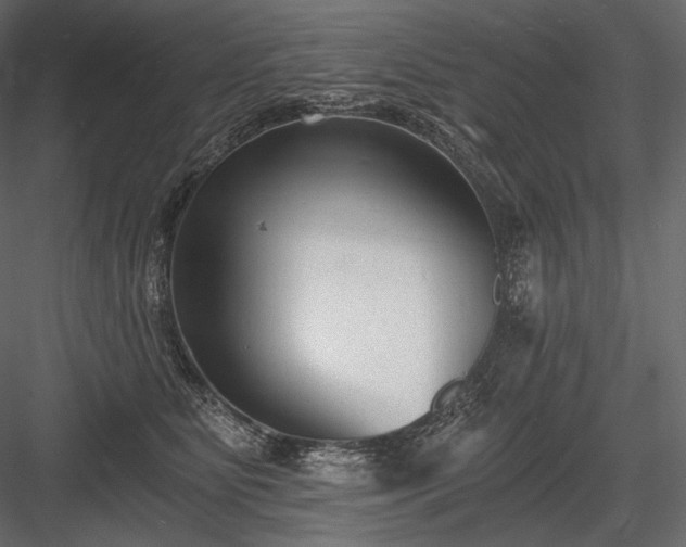 X0000084040515200702232328