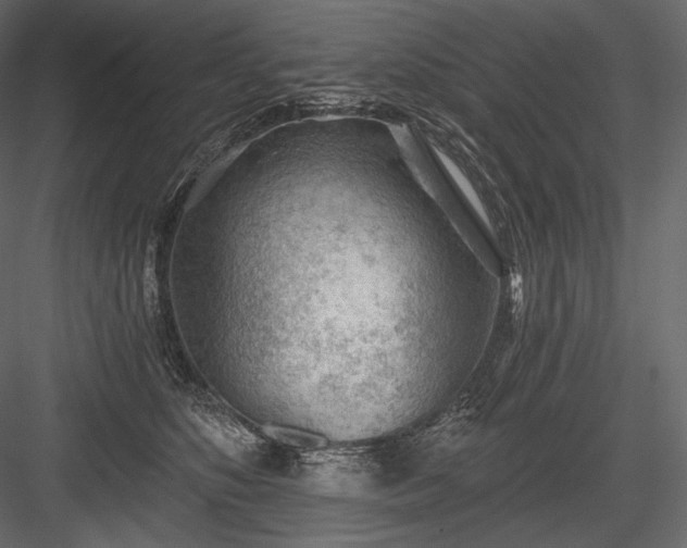 X0000084040516200702232328