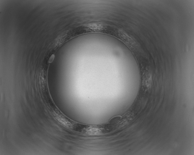X0000084040518200702232328