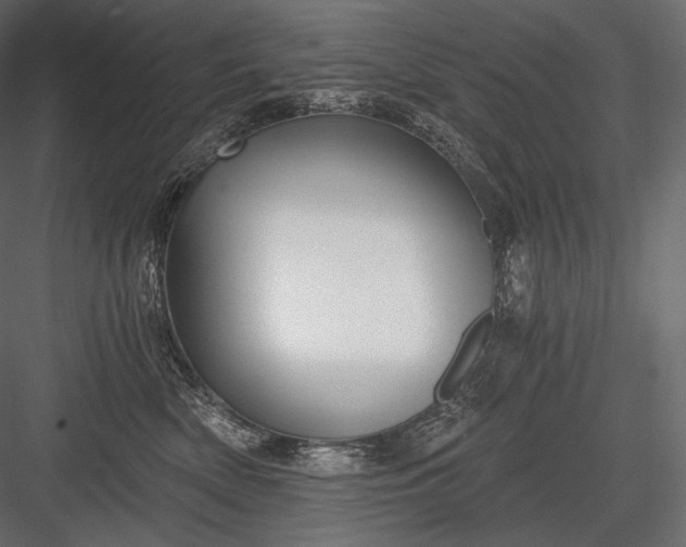 X0000084040522200702232328