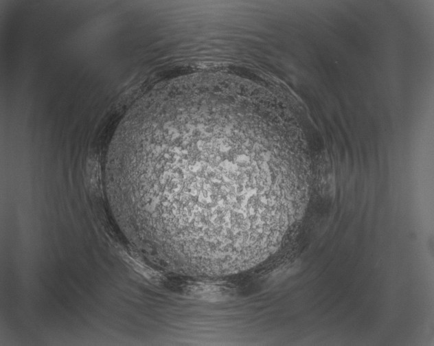 X0000084040523200702232328