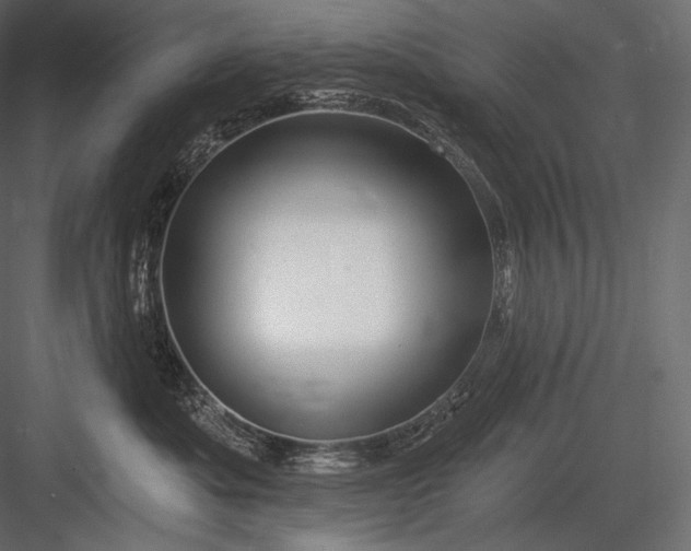X0000084040525200702232328