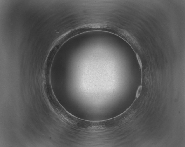 X0000084040536200702232327