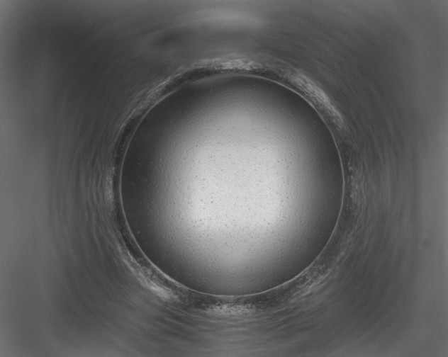 X0000084040537200702232327