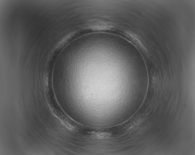 X0000084040539200702232327